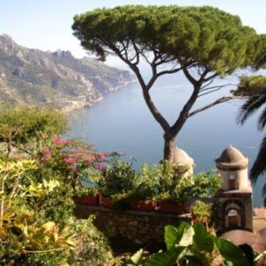 Ravello towers and umbrella pines