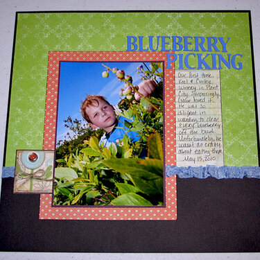 Blueberry Picking (2010)