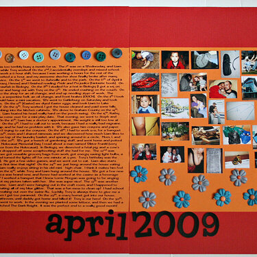 Project 365: April 2009