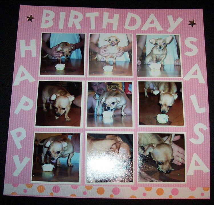 Salsa our Chihuahuas birthday