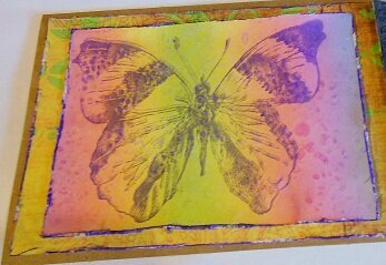 butterfly card