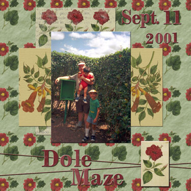 Dole Maze