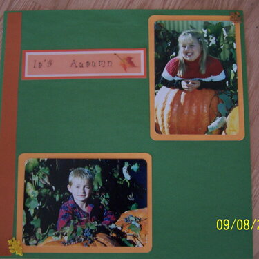Pumpkin Photo Shoot (L)