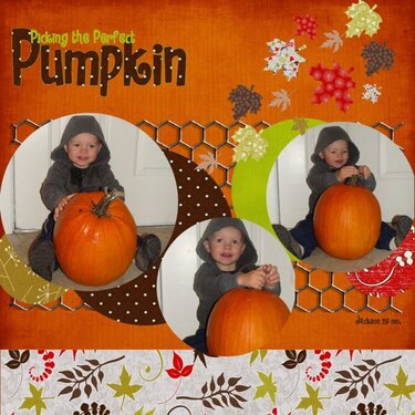 Picking the perfect Pumpkin