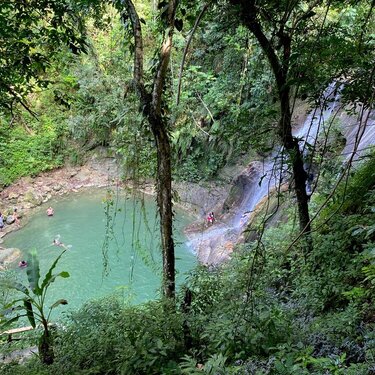 Rain Forest/Water Fall