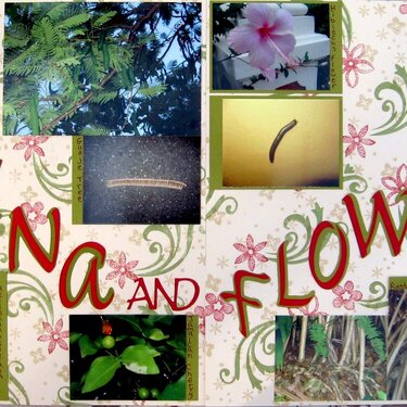 The Fauna and Flowers (of Jamaica) PG 4