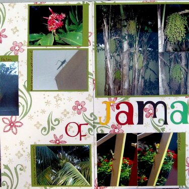 (The fauna and flowers) of Jamaica PG5