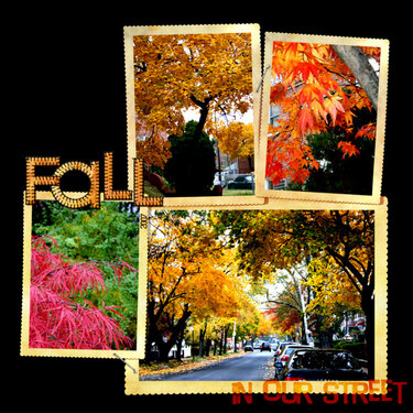 Fall in our street