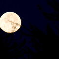Full Moon over Ocotillo