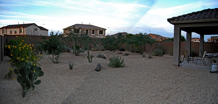 11-10 Panoramic of our Back Yard