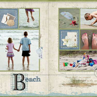 Beach (ABD Book Series)