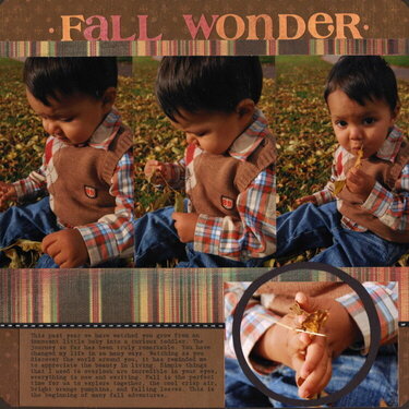 Fall Wonder