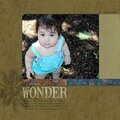 < wonder >