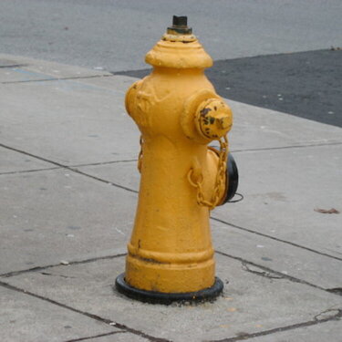 #1 Fire Hydrant