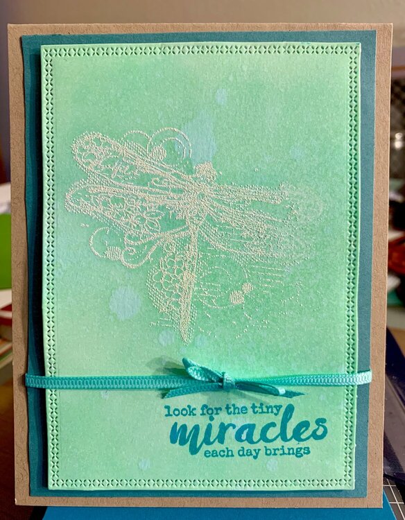 Dragonfly Miracles