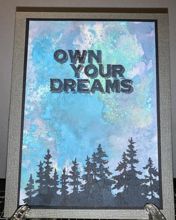 Own your dreams
