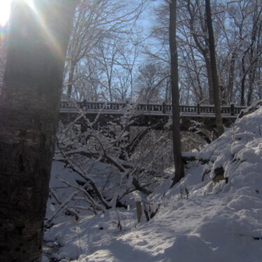 Seven Bridges in Winter