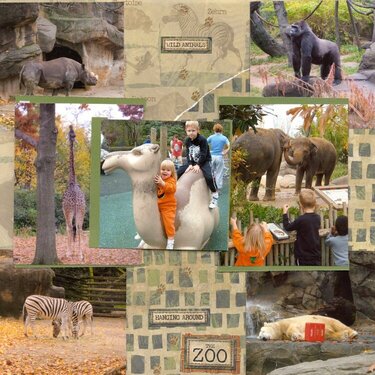 Cinci Zoo