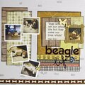 Beagle Life