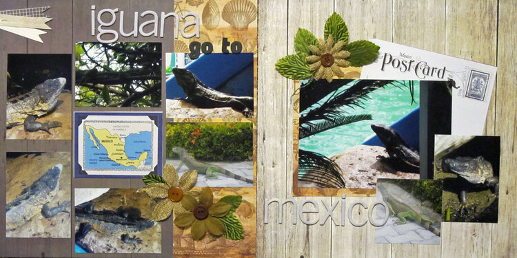 Iguana Go To Mexico