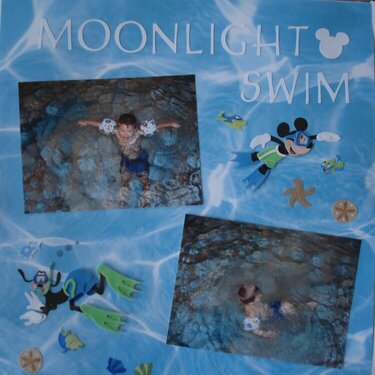 Moonlight Swim