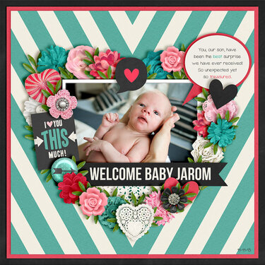 Welcome Baby Jarom