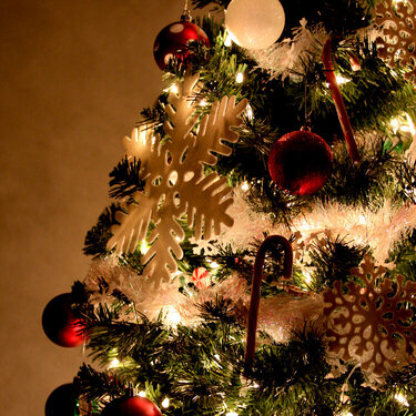~our tree~