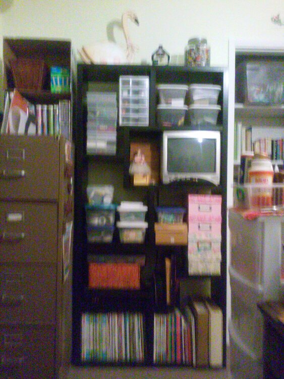 My new room all organized , my tv even fit into the shelves