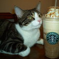 O'Malley loves Starbucks!!!