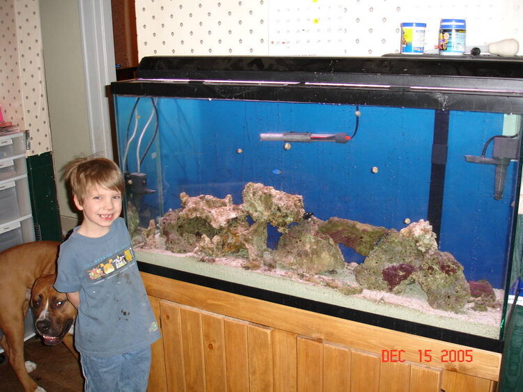 Fish Tank 3