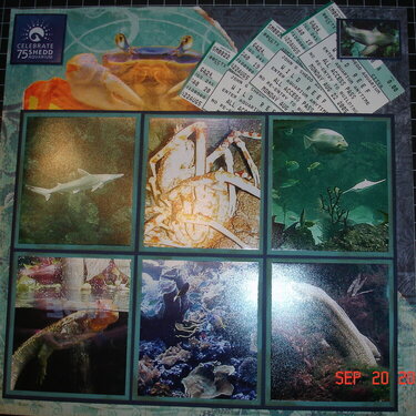 Shedd Aquarium Page 2