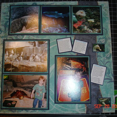 Shedd Aquarium Page 2