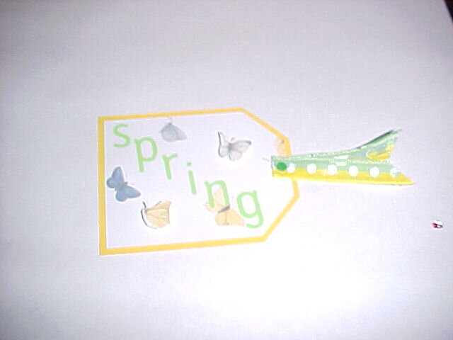 Spring tag