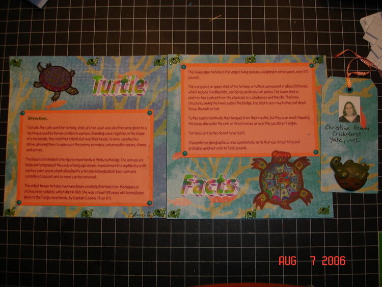Uncirlce Journal 6x6 Turtle LO