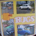 VW bugs