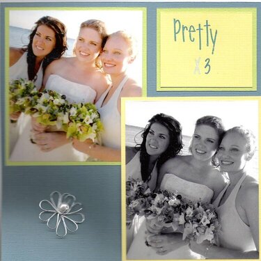 Pretty x 3 - 8x8 bridesmaid book lo
