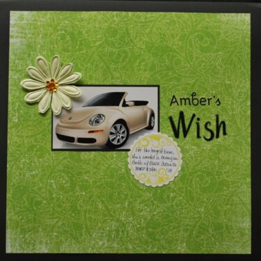 Amber&#039;s Wish