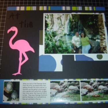 At the Flamingo