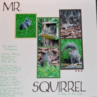 Mr. Squirrel