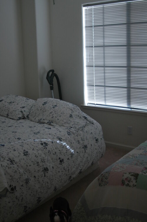 *Before* Guest Bedroom...soon to be office!
