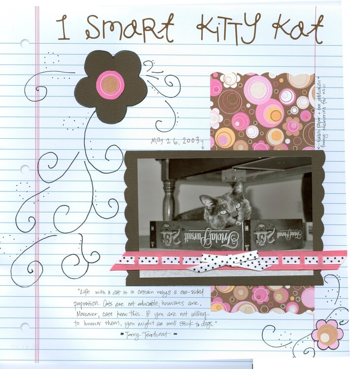 1 Smart Kitty Kat