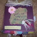 Book of God's Promises 6x6 (cover view)
