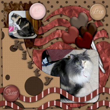 Sweet Kitty