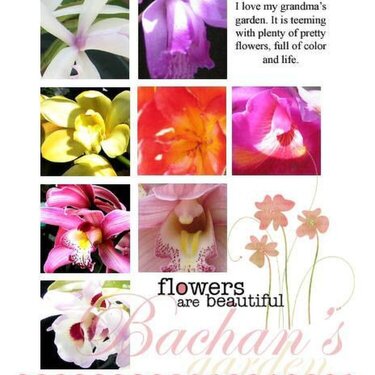 Bachan&#039;s Garden **Scrapbook Trends 8/06**