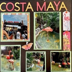 Costa Maya Pool Party