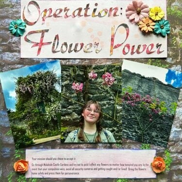 Operation: Flower Power (2 pages)