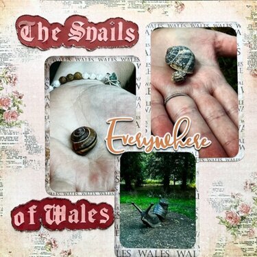 The Snails of Wales