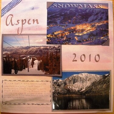 Aspen 2010