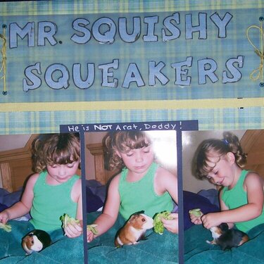 Mr. Squishy Squeakers
