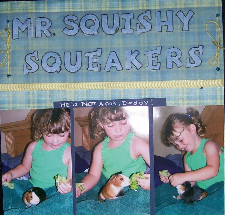 Mr. Squishy Squeakers